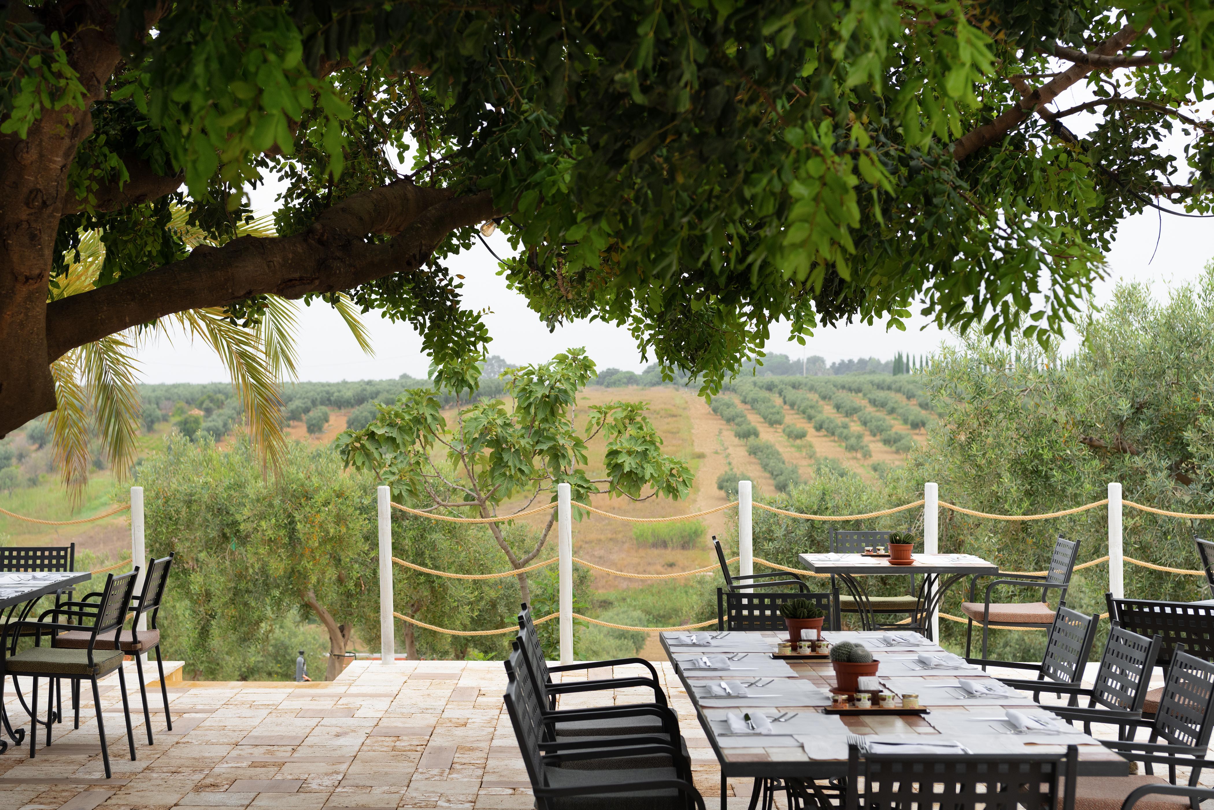 Castelvetrano Momentum Wellness Bio Resort מראה חיצוני תמונה